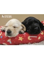 Holiday Cards- Sleeping Pups  (10 pk with envelopes)
