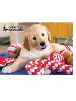 Holiday Card - Pup with toys  (10 pk with envelopes)