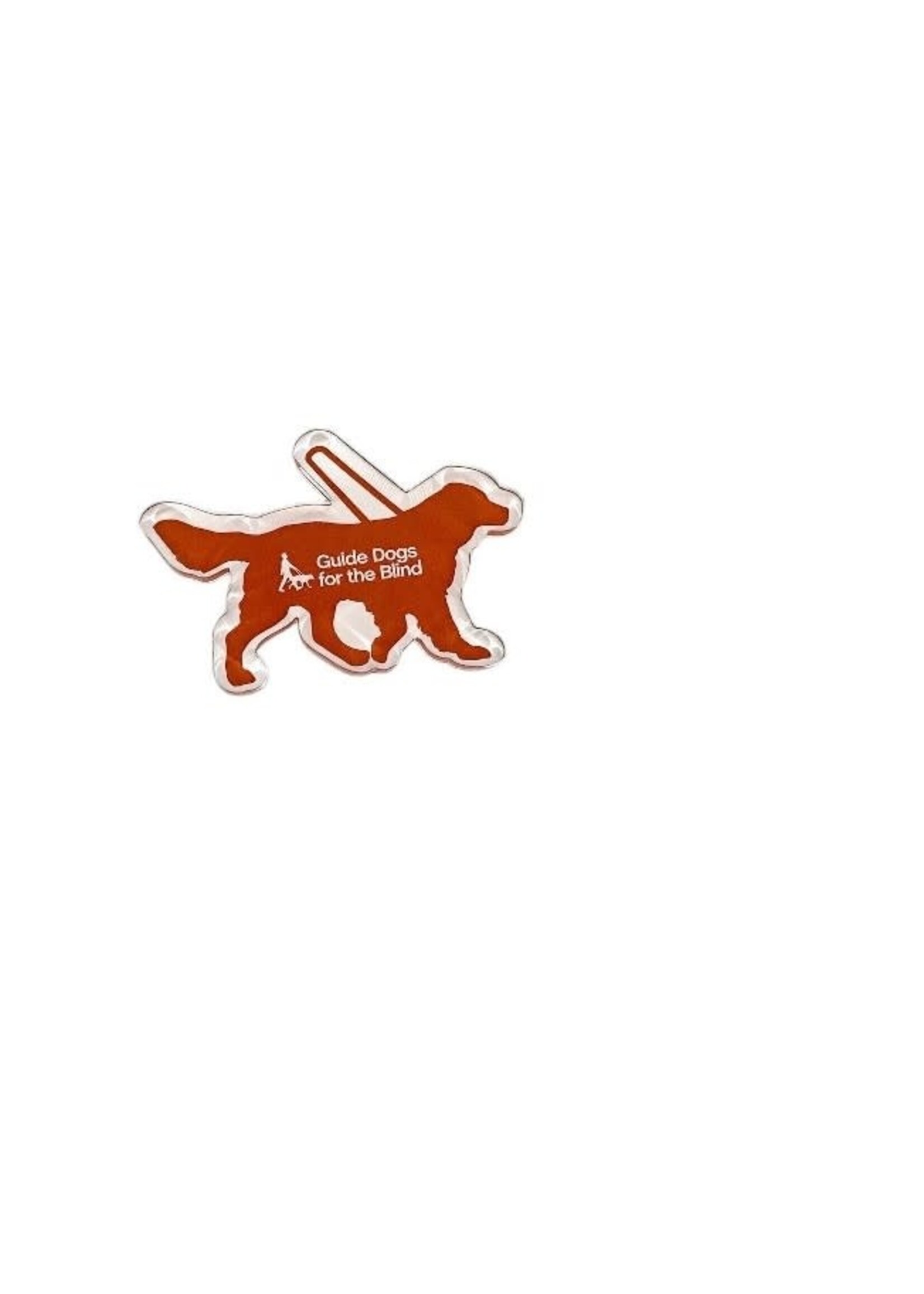Acrylic Magnet