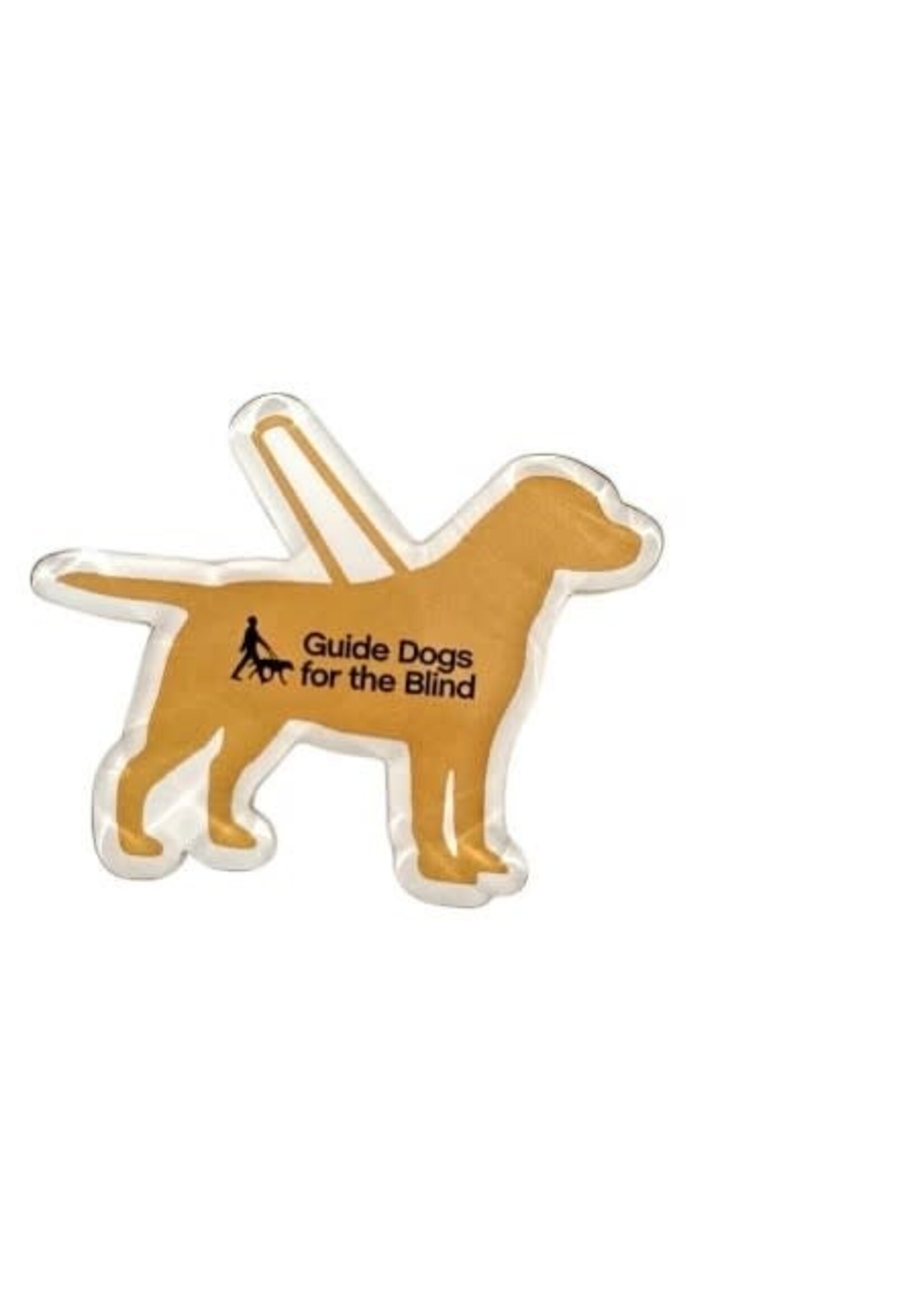 Acrylic Magnet