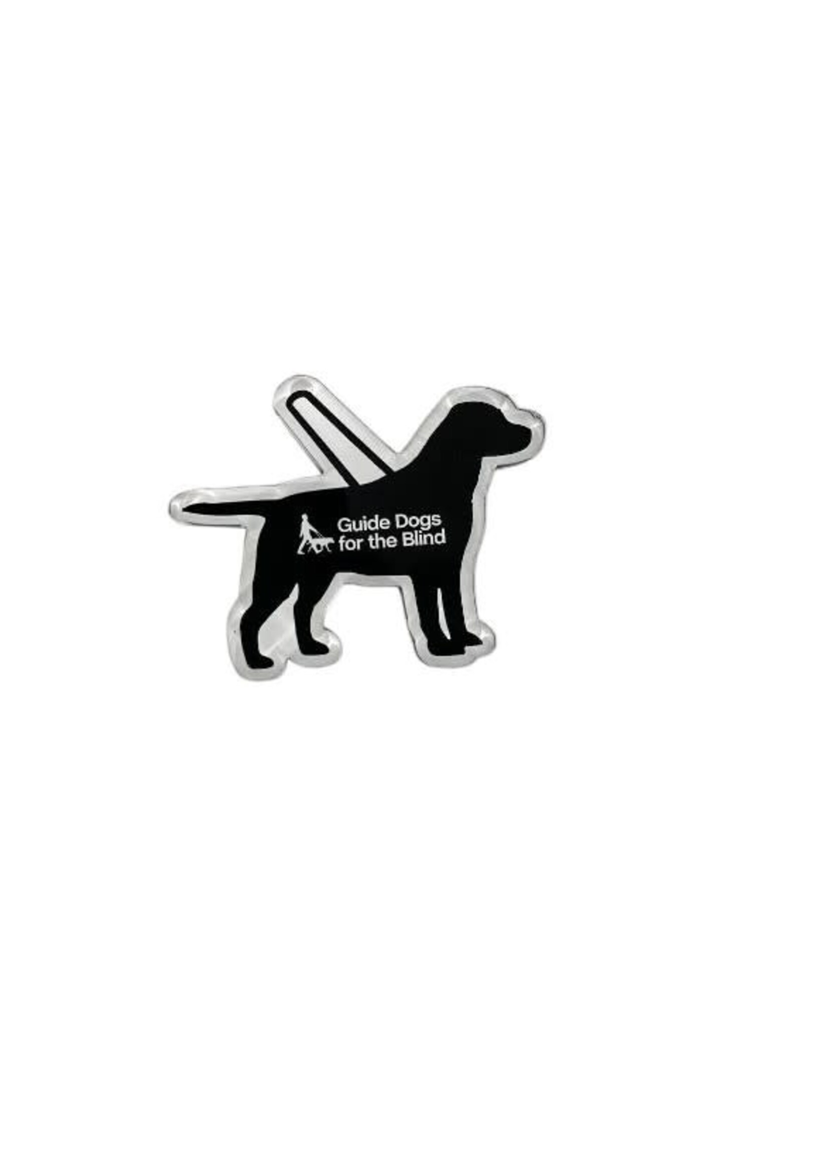 Acrylic Magnet