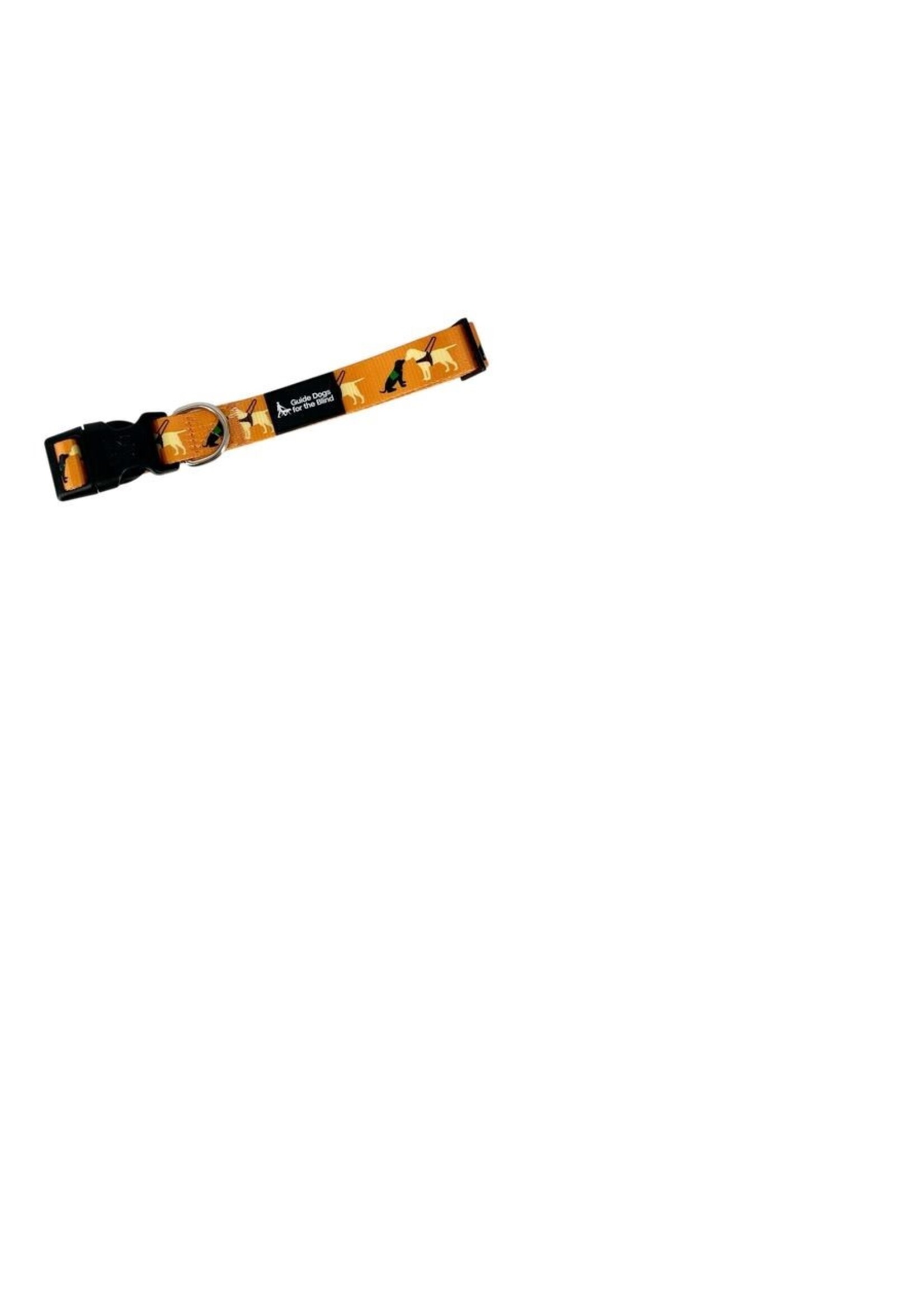 Pup and Guide Collar