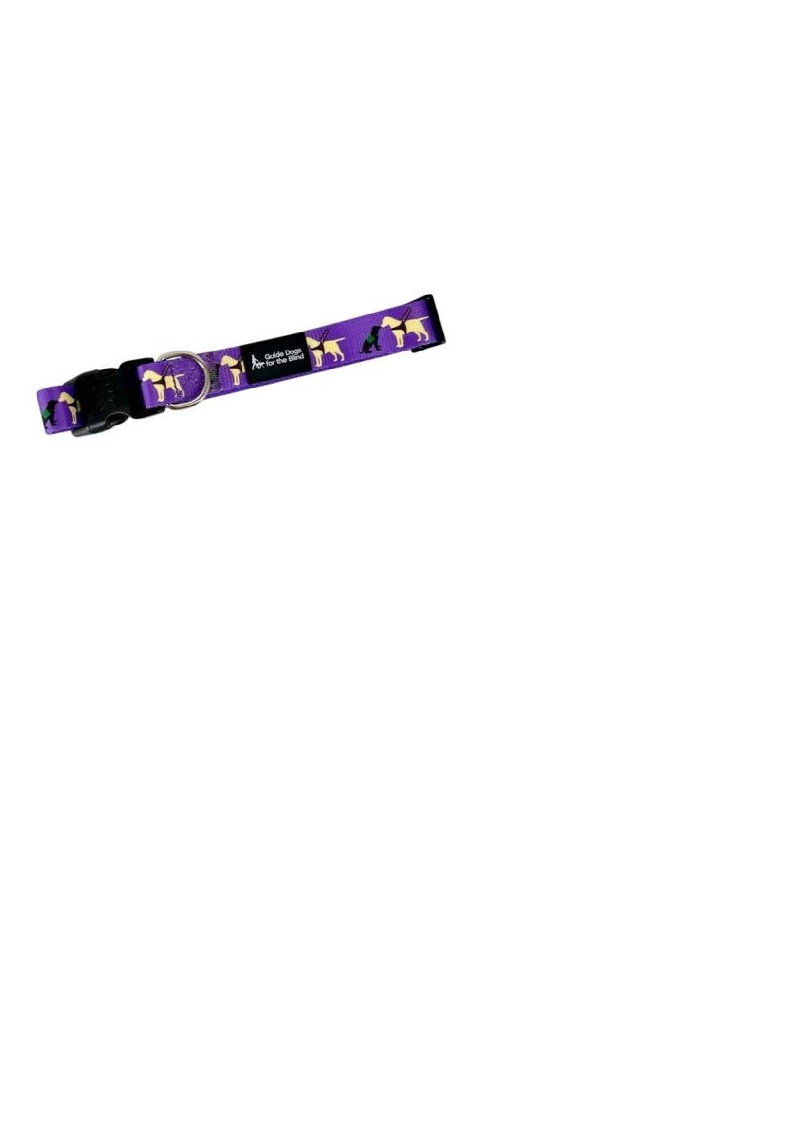 Pup and Guide Collar