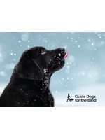 Holiday Cards - black lab puppy (10 pk with envelopes)