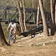 Suspenz Tow & Go Bike Trailer