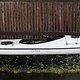P&H P & H Cetus White (USED)