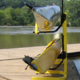 Suspenz Deluxe Free-Standing Rack | Holds 2 Boats (USED)