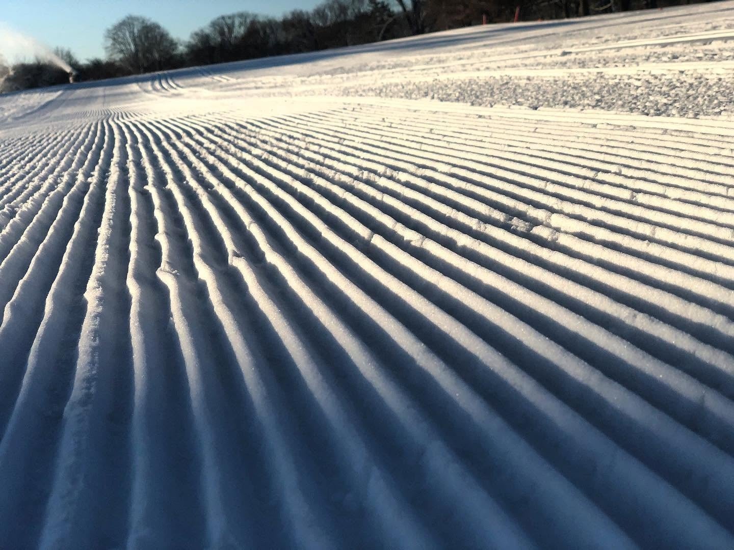 Adult Season Trail Pass