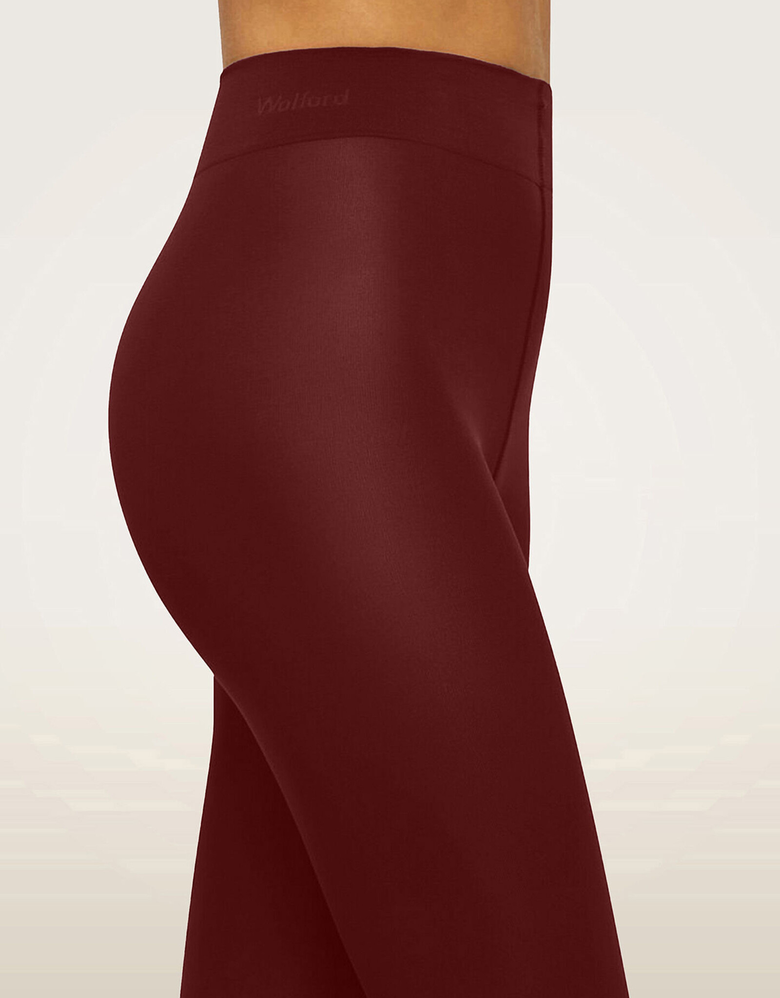 Wolford Velvet de Luxe 66 Tights