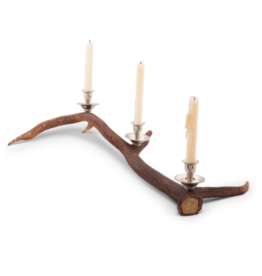 MH Candlestick - Resting Elk Antler - 3 Light Candlestick