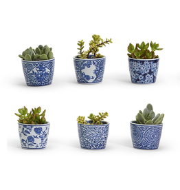 MH Cachepots - Blue & White - Mini - Assorted - 2 3/4" H x 3 1/2" D