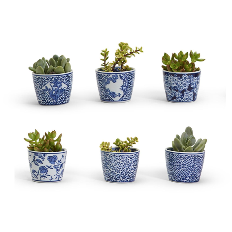 MH Cachepots - Blue & White - Mini - Assorted - 2 3/4" H x 3 1/2" D
