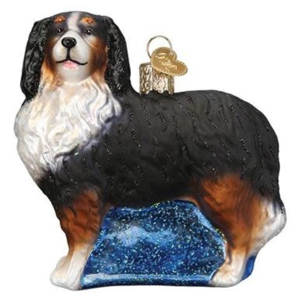 MH Ornament - Blown Glass -  Bernese Mountain Dog