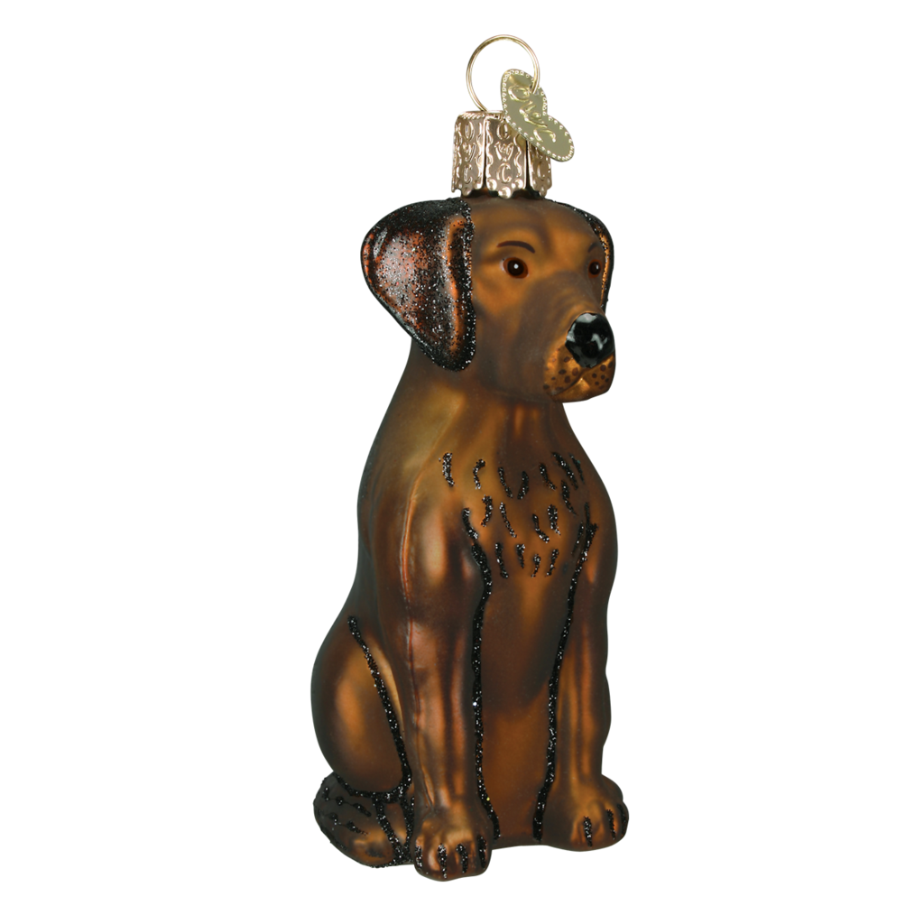MH Ornament - Blown Glass - Chocolate Labrador