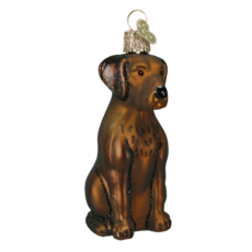 MH Ornament - Blown Glass - Chocolate Labrador