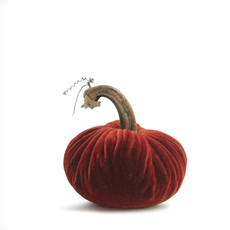 MH Plush Pumpkin - NEW -