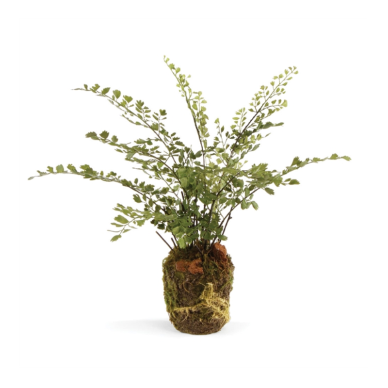 Floral - Maidenhair Drop in -  13"