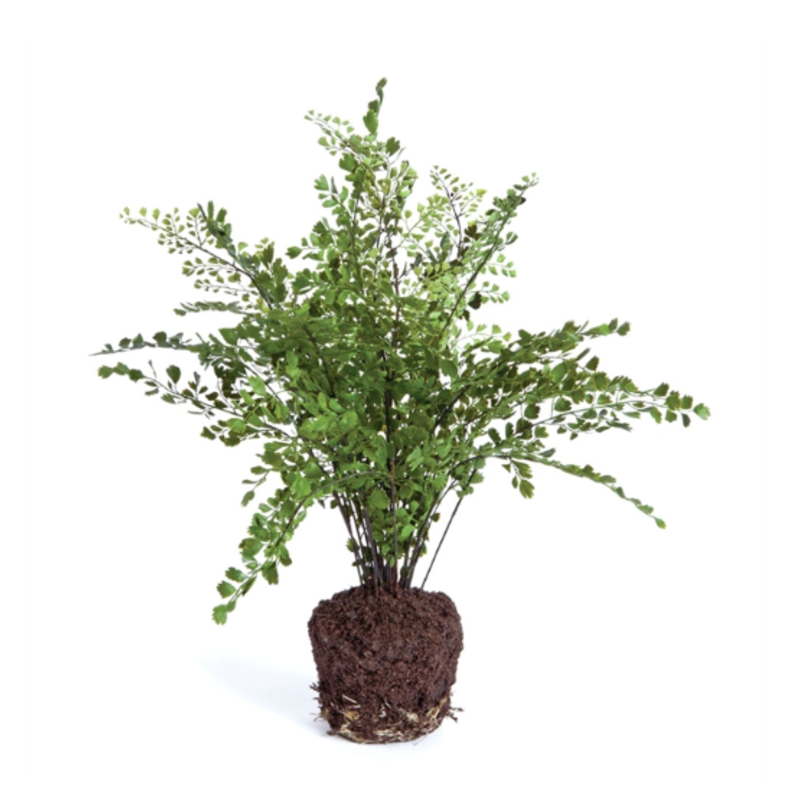 Floral - Maidenhair Drop in -  18"