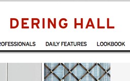 Dering Hall: Bardes Interiors featured on Dering Hall's main page!