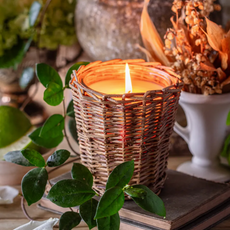 Candle - French Willow - Soy/Vegetable - 5x5x5" -