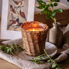 Candle - French Willow - Soy/Vegetable - 5x5x5" -