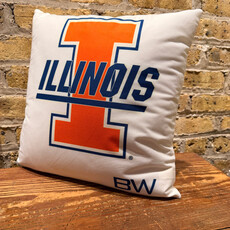 Personalized FULL COLOR Charpie Pillow Case (with insert)