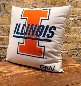 Personalized FULL COLOR Charpie Pillow Case (with insert)