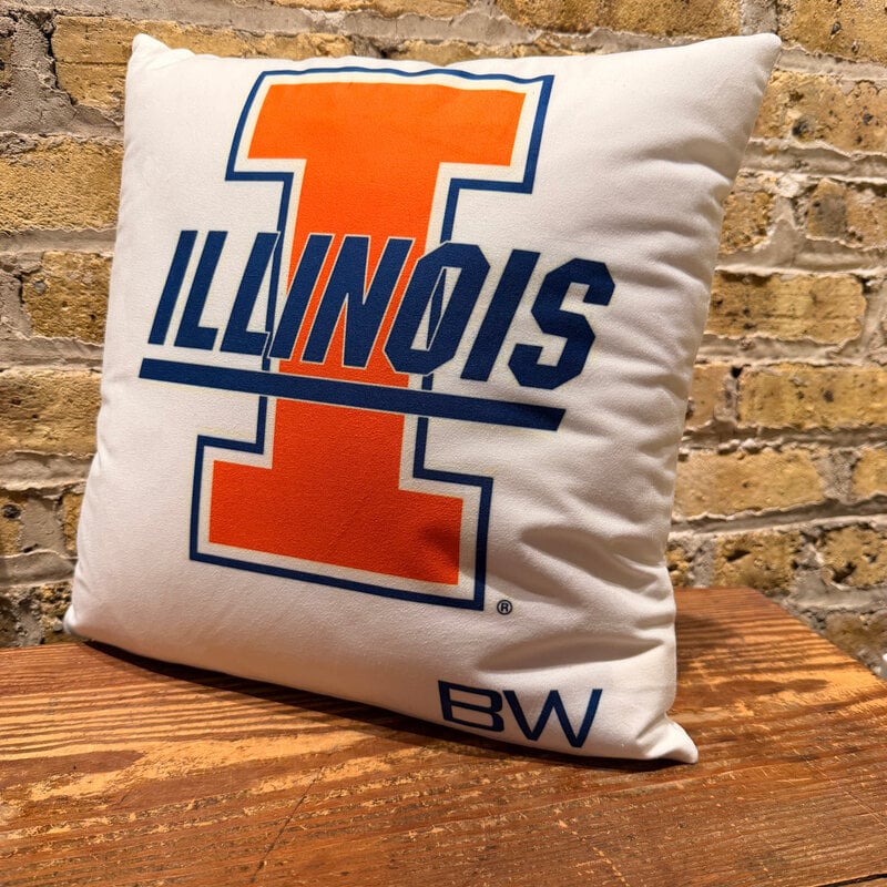 Personalized FULL COLOR Charpie Pillow Case (with insert)