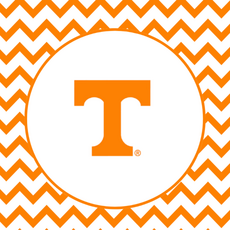 Personalized FULL COLOR Linen Pillow Case (with insert)