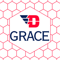 Personalized FULL COLOR Charpie Pillow Case (with insert)