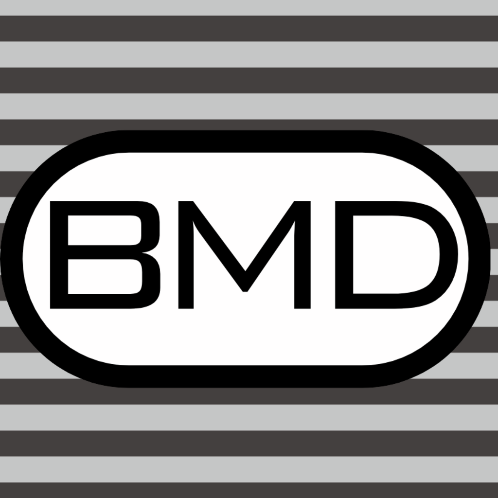 Personalized FULL COLOR Charpie Pillow Case (with insert)