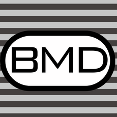 Personalized FULL COLOR Charpie Pillow Case (with insert)