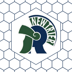 Personalized FULL COLOR Charpie Pillow Case (with insert)