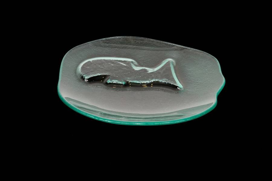 Salmon Plate - Slumped Glass by Wade Baker (Coast Salish / Kwagiulth).