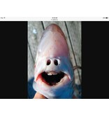 SOLD  Indigenous Art Ratfish Mask