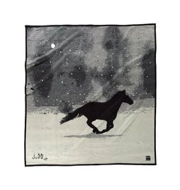 'A Horse called Paint' Pendleton Blanket