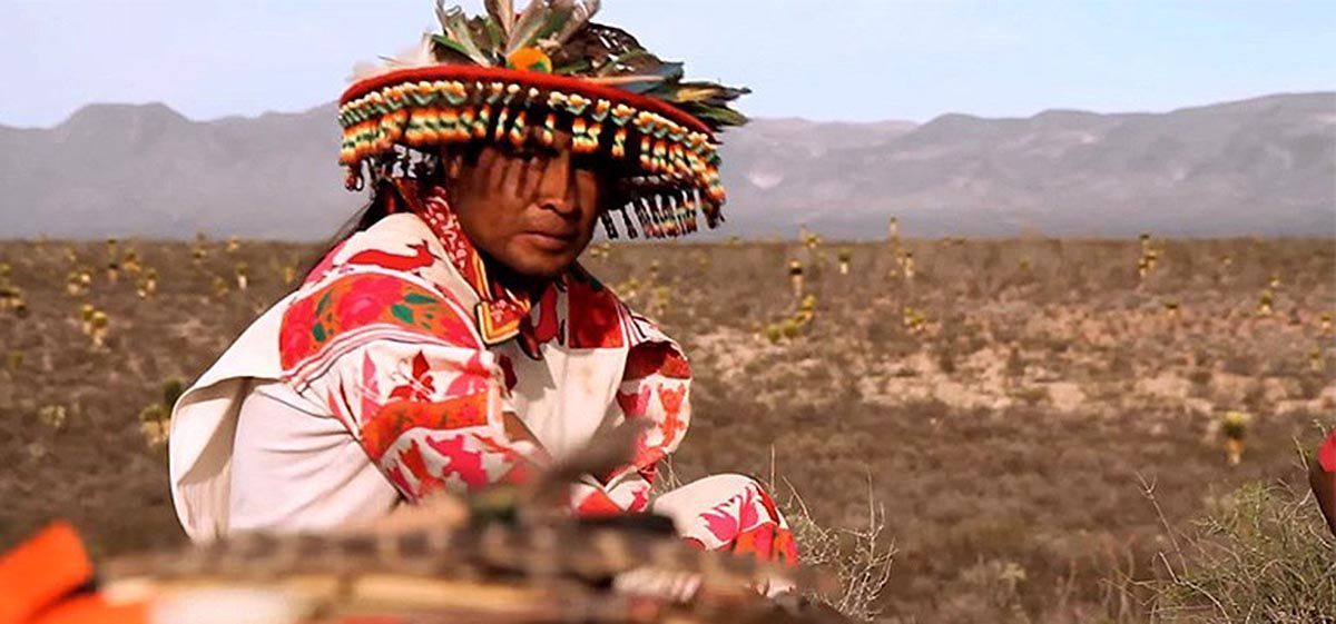 A Huichol pilgrim in Wirikuta