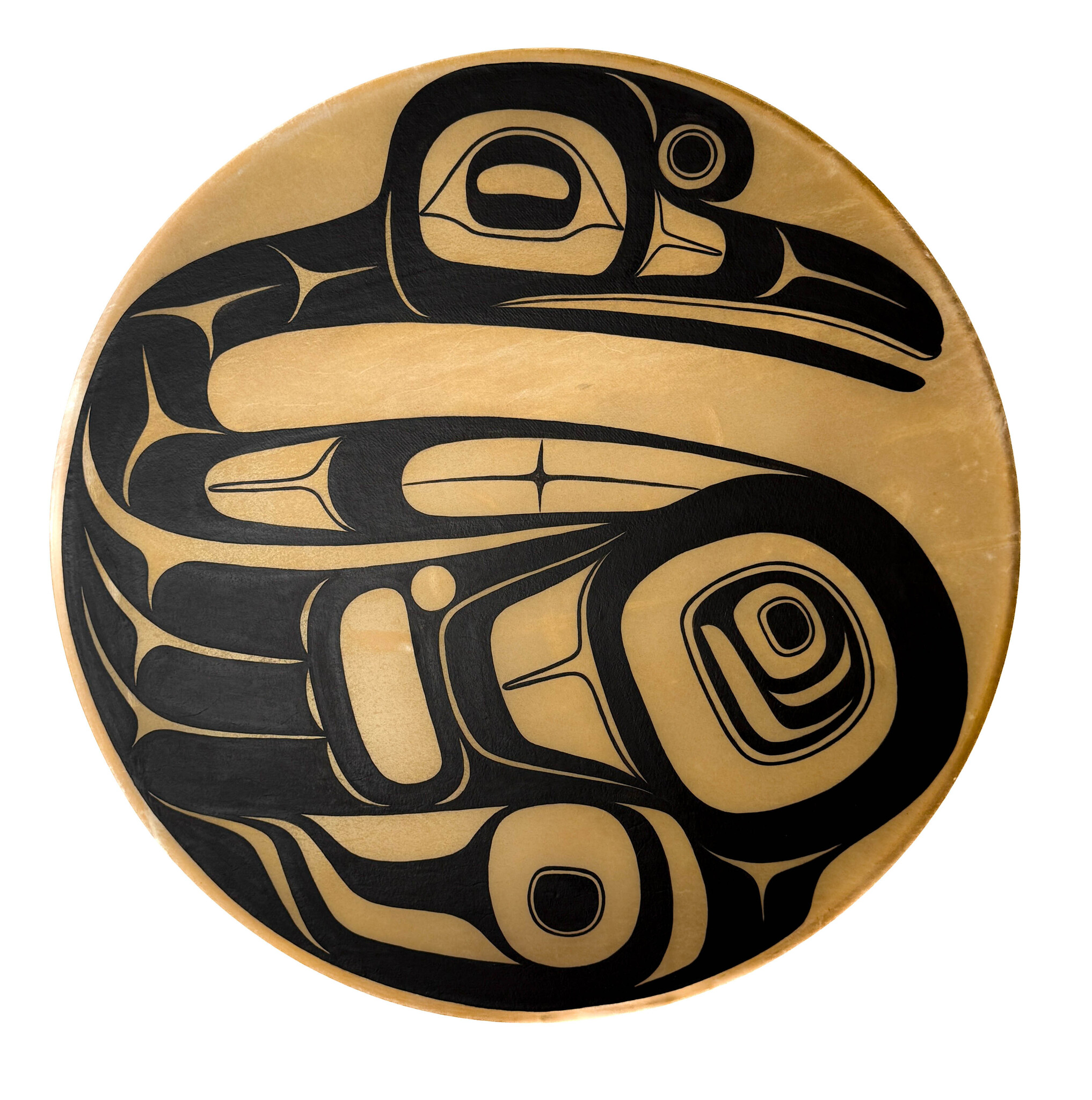 Corey Bulpitt Haida Swan Drum