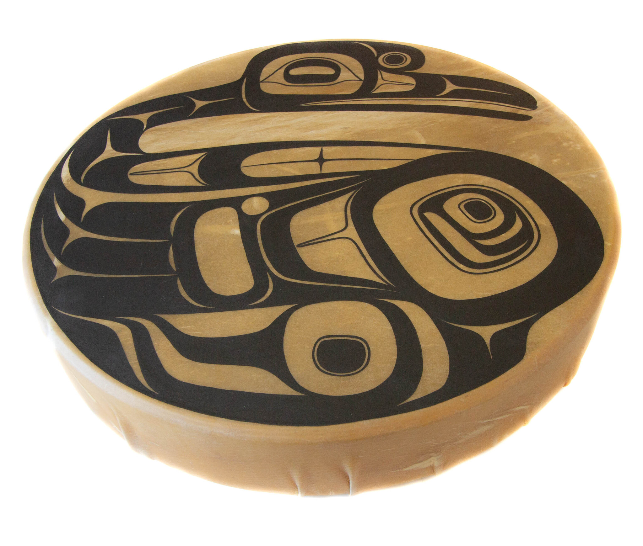 Corey Bulpitt Haida Swan Drum
