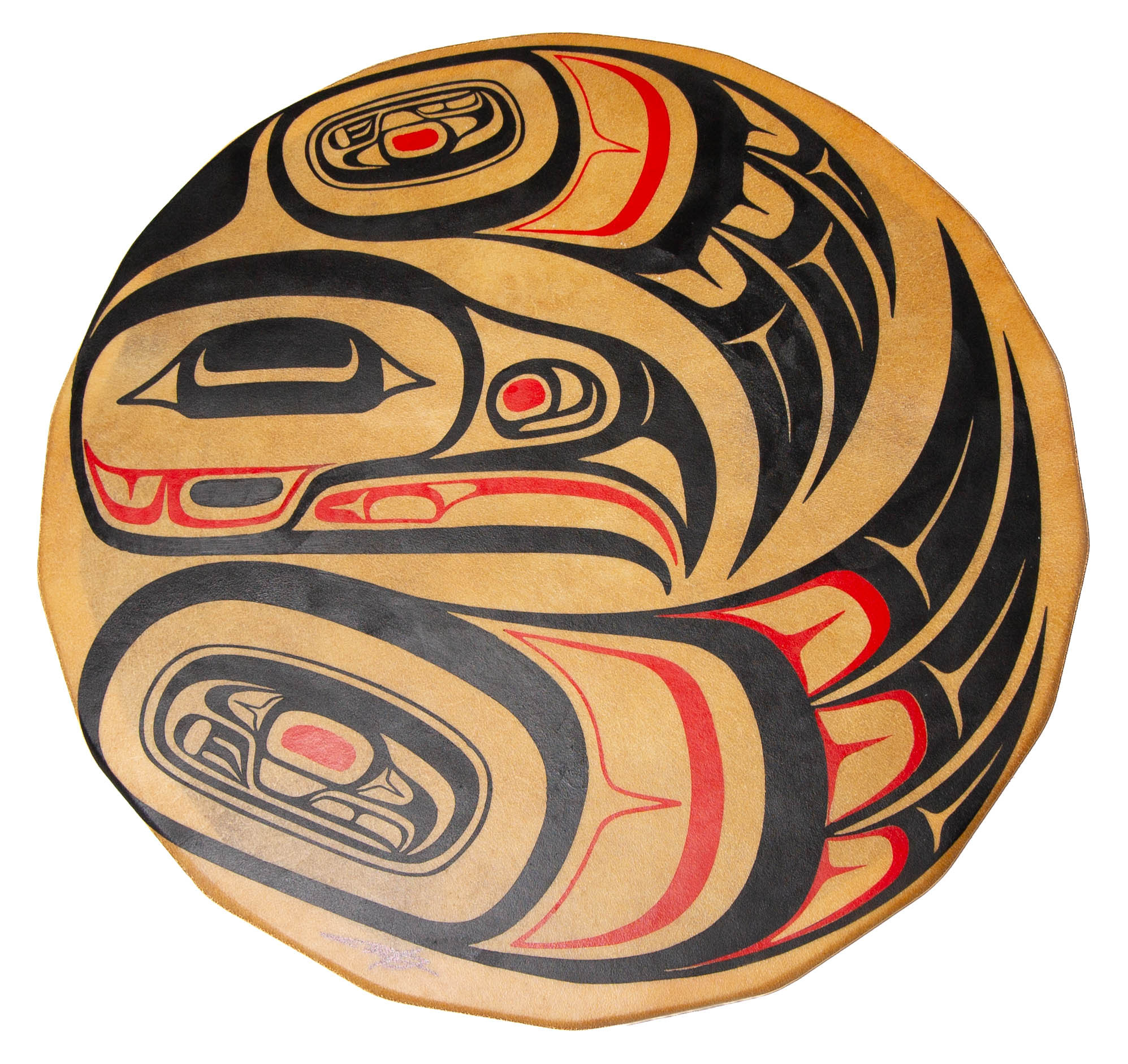 Painted Haida Drum raven Design