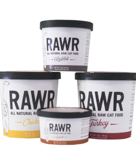 RAWR RAWR Cat Raw