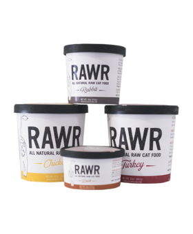 RAWR Rawr Cat Raw