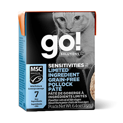 Go! Cat Dry - Pawtrero Mississippi