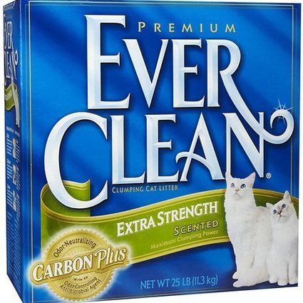 everclean cat