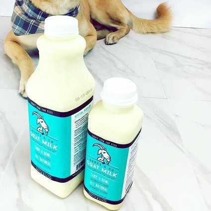 Bones & Co Goat Milk