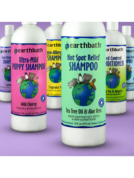 EARTHBATH EarthBath Shampoo 16 OZ