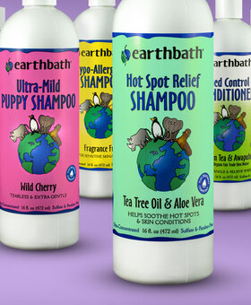 EARTHBATH EarthBath Shampoo 16 OZ