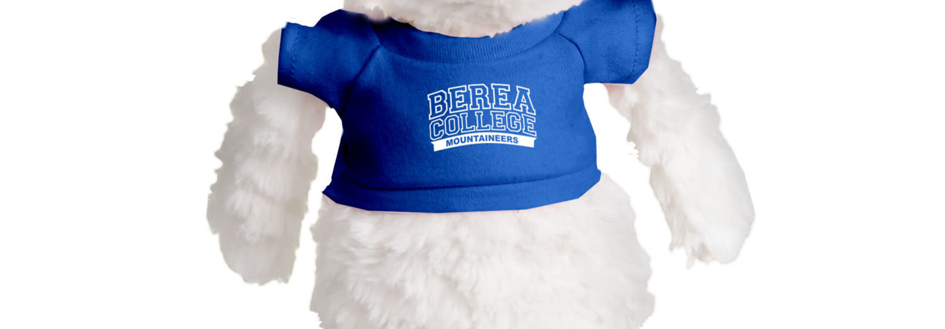 Plushie with Blue Berea College T-shirt