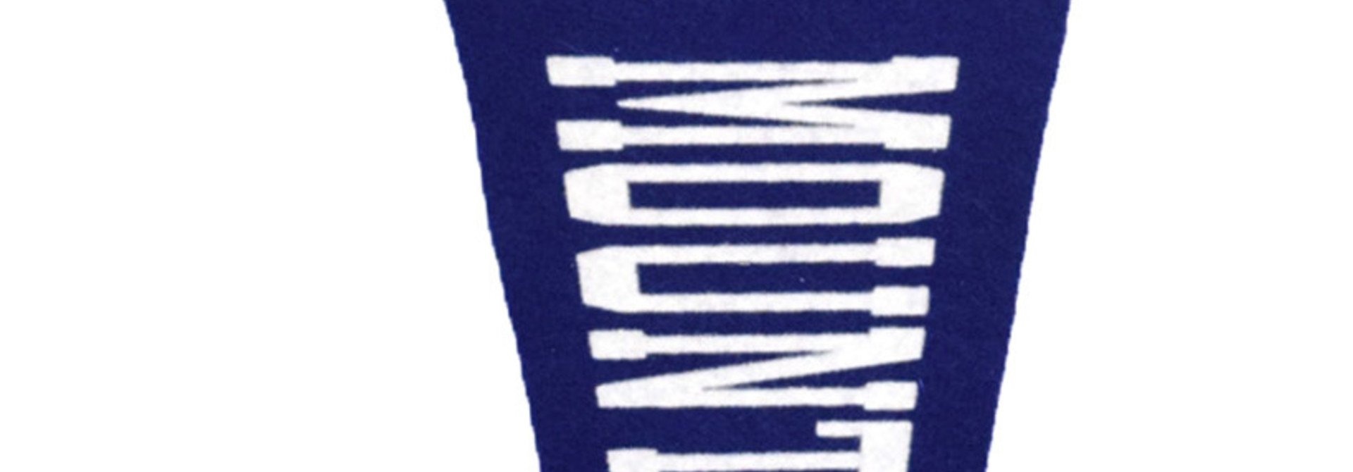Circle Logo Mountaineers Pennant