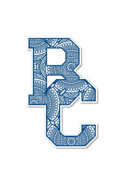 Boho Dizzler Sticker